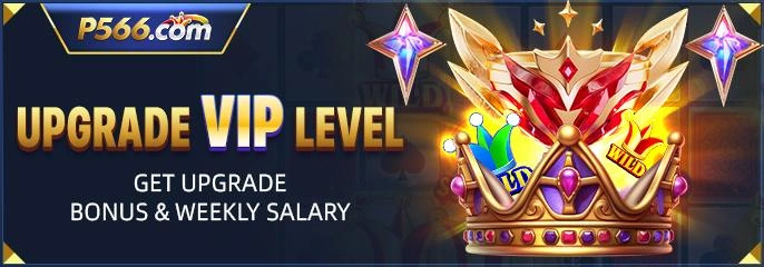 P566 Casino Promotions